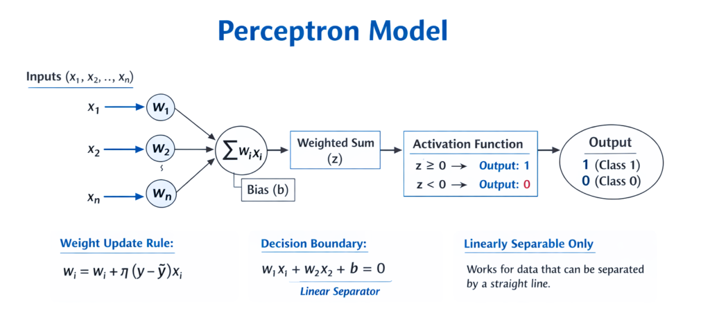 perceptron model
